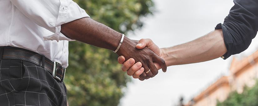 especialização por nichos