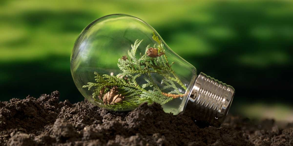 Materiais sustentáveis: lâmpada na natureza com plantas crescendo dentro dela.